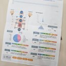누베베한의원 | 누베베 한의원 다이어트 2주 5kg 감량 후기 부작용 할인혜택 가격 핵심만 총정리