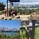 (주)힐링브릿지 | 호주 타롱가주 입장권 시드니 여행코스 동물원 추천