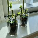 노아의작은도서관 이미지