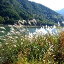 재미있게 이미지