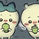 식껍원종점 이미지