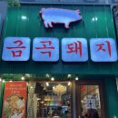 수원-1498 | 수원 금곡동 고기집 금곡돼지, 삽겹살 맛집 가성비 갑