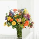 그린인테리어 홈가드닝 이미지