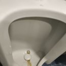 보람빌딩 | 🧼 신사동 뱅뱅사거리 부영빌딩 — 인테리어 후 준공청소 후기