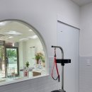 뽐내시개 이미지