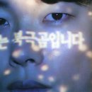 그린피스