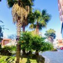 제주갤럭시호텔 이미지