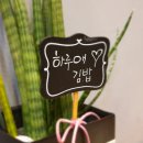 하루애김밥 이미지