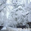 스노우몬스터 이미지