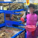 금정수산 | 안양 농수산물시장 대게 맛집 금정수산