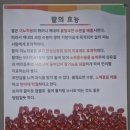 월림리 291-1번지 앞 | 수원맛집 소담골 수원본점에서 인생 팥죽과 들깨수제비 매탄동 맛집 방문기