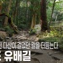 [풍경이있는여행] 200년 전 다산 정약용 이 10년을 머물던 유배지. 이미지