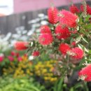 김녕한옥 용암정원 이미지