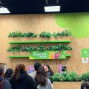 푸드2900 | 트레이더스 구월점ㅣ푸드코트 과일바로스무디 가성비 2900원 내돈내산 후기