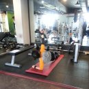 킴스휘트니스짐 이미지