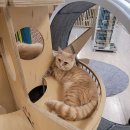 집사의 하루 건대점 이미지