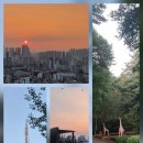 08/13(목) 스카이워크♡밤마실 산책[하늘과산대장님] 이미지