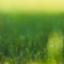 춘정농장 이미지