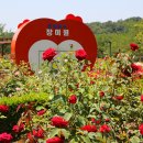 풍암호수공원 이미지