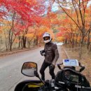 리벤씨 네이버블로그