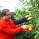 남국농장 이미지