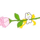 바른마음한의원 마곡발산점 이미지