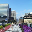 서울셰어
