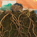 통리주유소 이미지