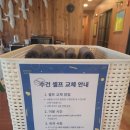 씨투아일랜드 | 청포대해수욕장 펜션 씨투아일랜드 솔직 후기! 완벽한 힐링 숙소
