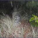 도내2리 이미지