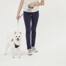 공항 동물병원 이미지