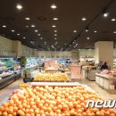 스킨푸드충남