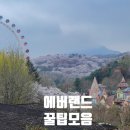 비오는 금요일에 5살, 4살과 함께한 에버랜드 찐 후기, 꿀팁 모음! 1탄