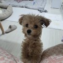 데이,그룸 이미지