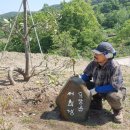 서희경 도장골 청년의 마음 이미지