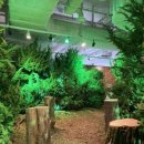 말똥도넛 이미지