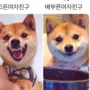 공감 - 나주시 대호길 10 | 공감