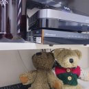 리브가 스테이 이미지