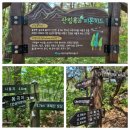 초례산 숲속 힐링로드 이미지