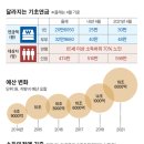 노인 기초연금, 부부 함께 받을 땐 내년부터 40만원 이미지