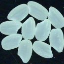 궁평목장 이미지