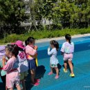 경희대태권도장 이미지