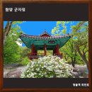 1802 | 함양 군자정, 자연 암반위에 그림처럼 내려앉은 소박한 정자/함양가볼만한곳