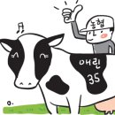 애린목장 국민일보