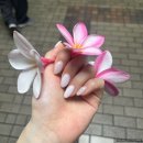 프라임마트 마곡점 | [W24. 하와이 신혼여행 후기 맛보기 (맛집 정보 한가득)]