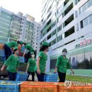 과일통신 - 7646 | 과일통신