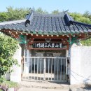 완도20호 이미지