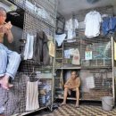 상상을 초월하는 홍콩의 빈부격차, 벌집-새장 가격은?!! 이미지