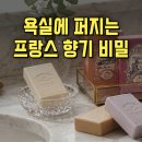 비누향 | 뱅네프생토노레 비누 성분 향 종류 후기