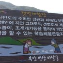 변산 모항 솔향 이미지